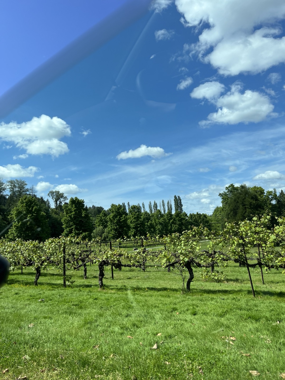 헤이코리안 - 커뮤니티, image size:1080x1440