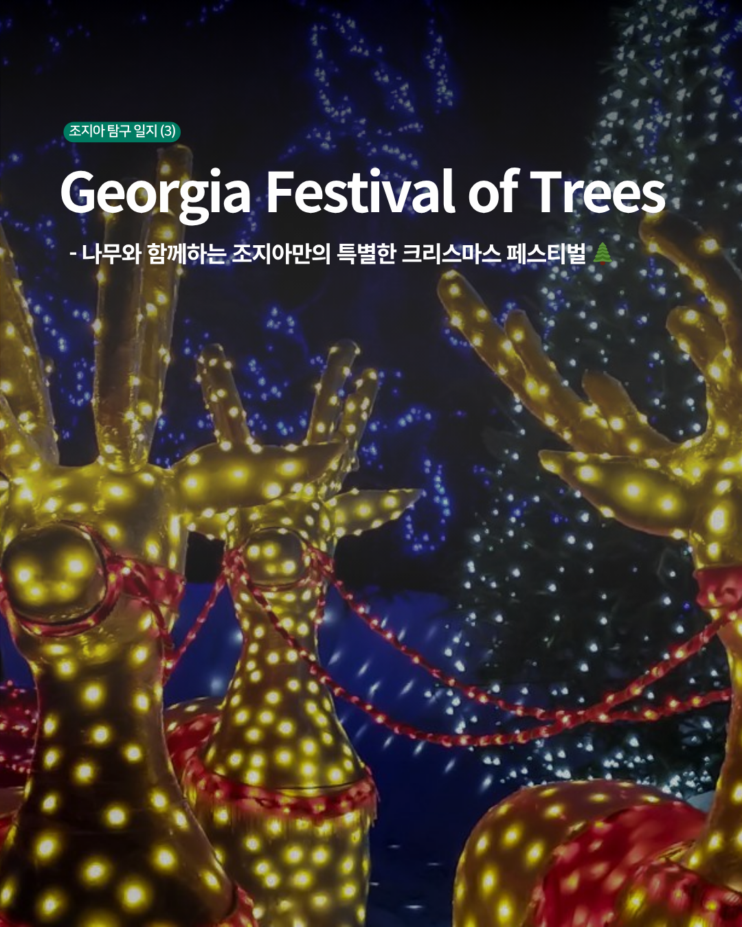 예술은 무엇인가 1. : 네이버 블로그, image size:1080x1350