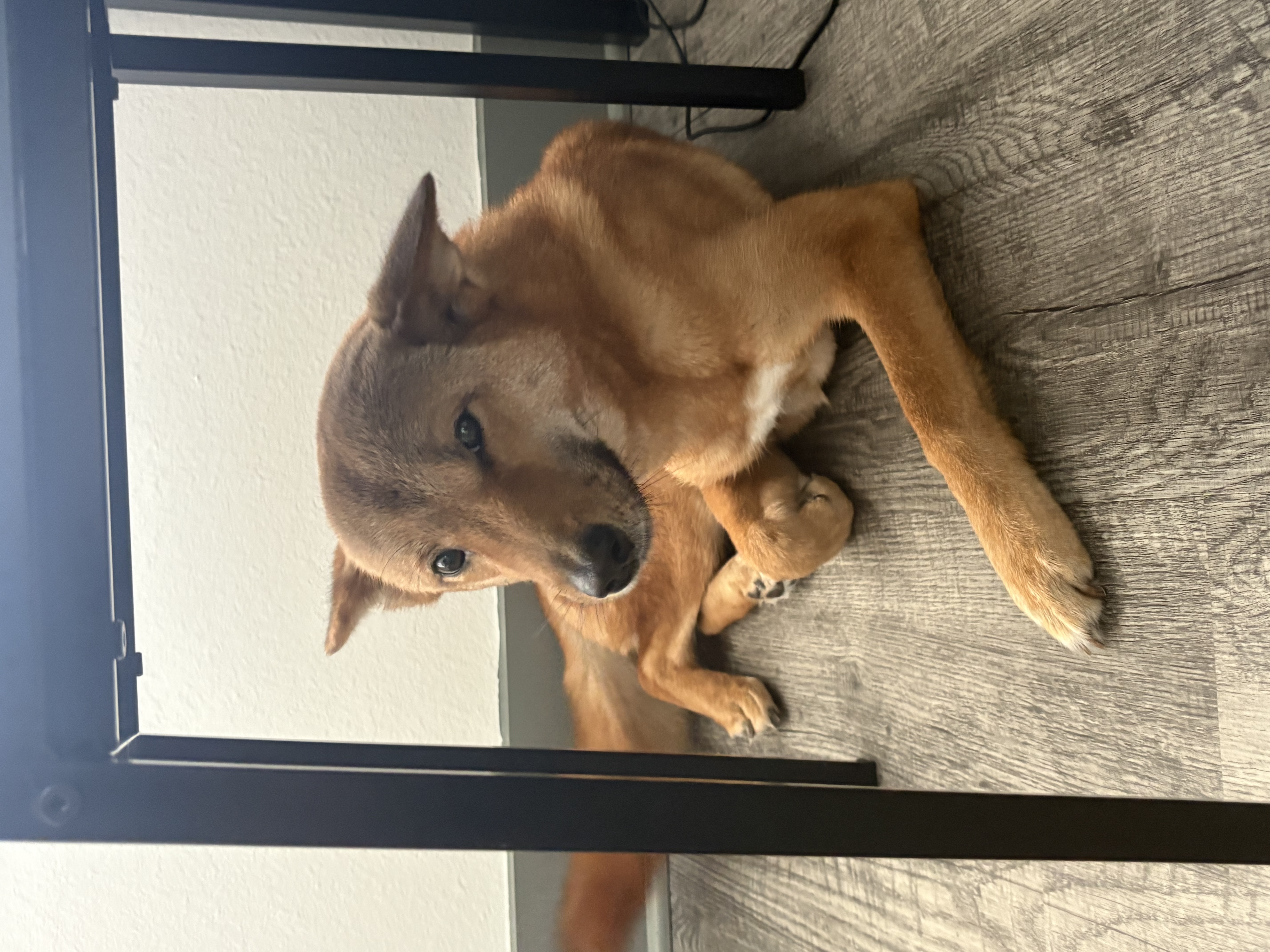 Play AT 연구소 | Facebook, image size:4284x5712