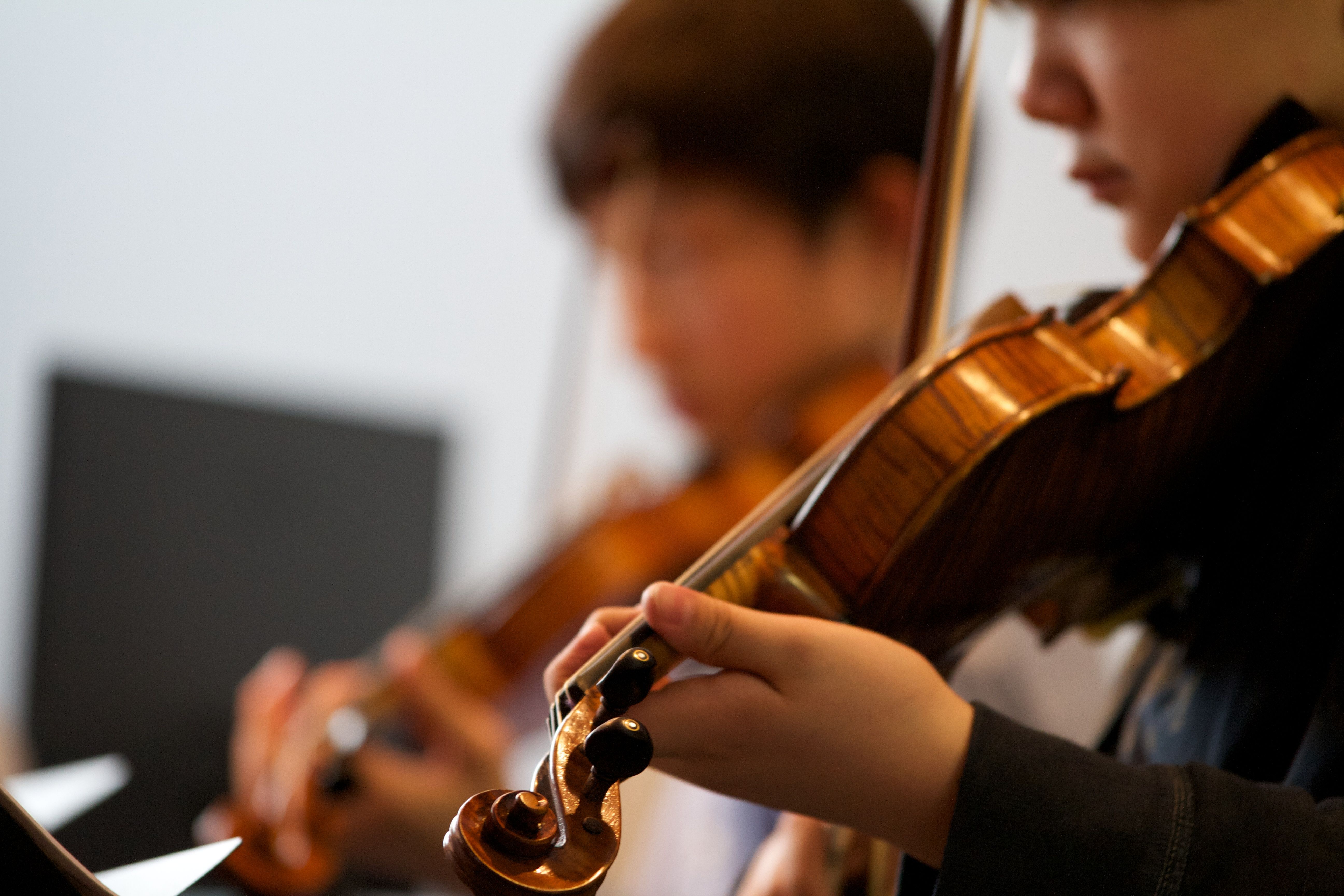 Violin Lesson(바이올린) 선생님 모십니다.