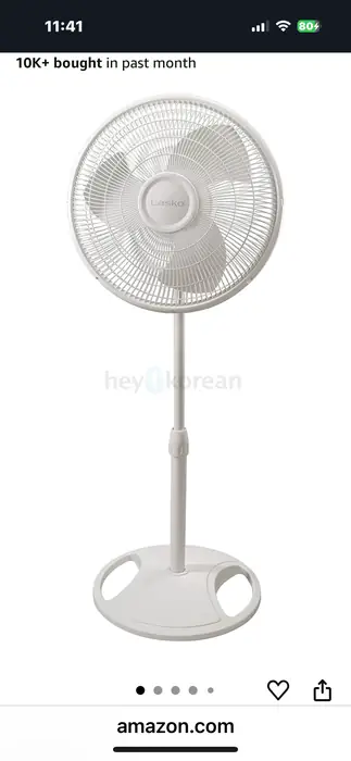 스텐드 팬