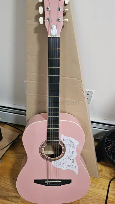 Rogue Guitar