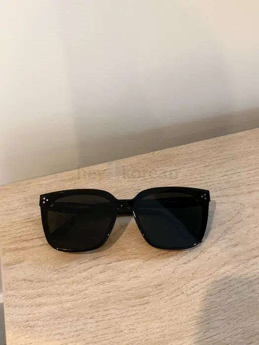 Gentle Monster Palette Sunglasses