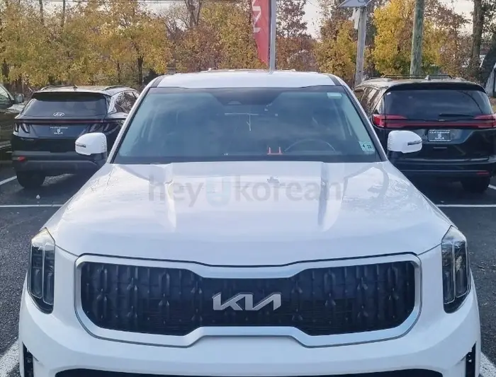[가격인하]기아 2023텔루라이드 판매합니다(직거래) in Bergen County, NJ