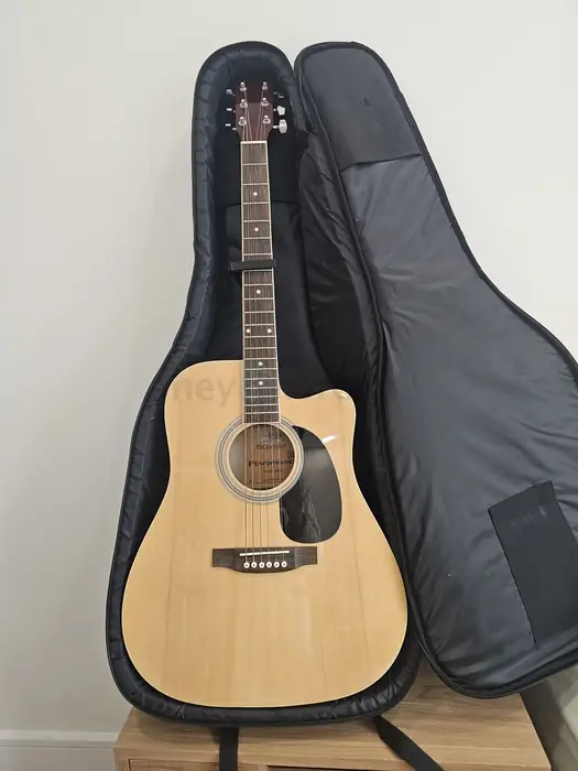 Giannini Performance guitar 기타 in Bergen County, NJ