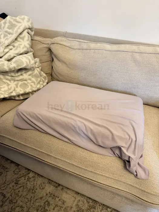 퍼플 배게 in Bergen County, NJ