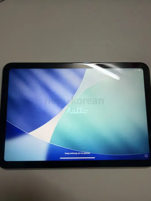 iPad mini 6   256GB in Queens, NY