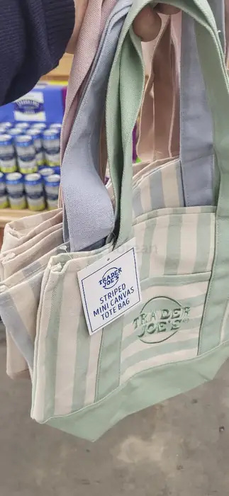 Trader Joe's Stripped mini tote in Queens, NY