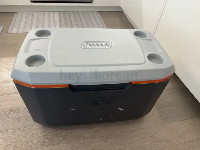 Coleman cooler 아이스박스 in Bergen County, NJ