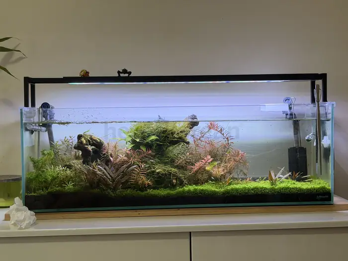 아쿠아리움 in Queens, NY