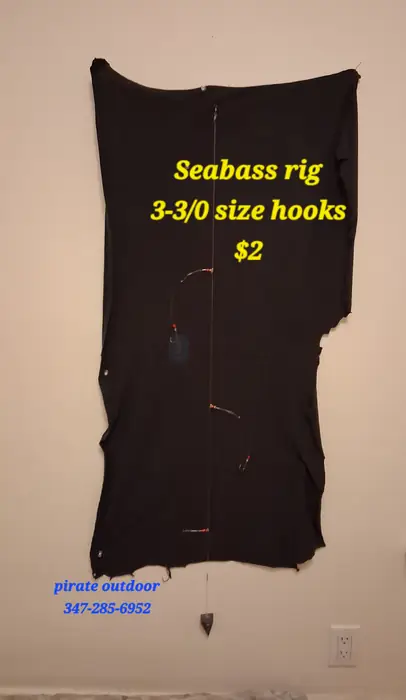 Seabass rig