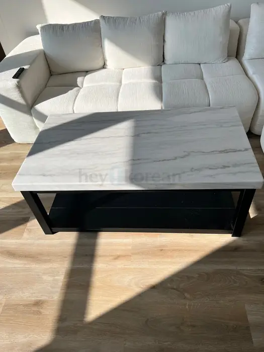 Birch Lane Real Marble Coffee Table (대리석 커피 테이블)