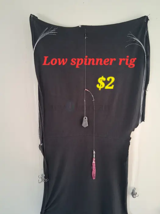 Low spinner rig