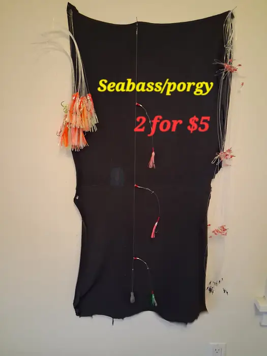 2 Seabass rigs/3 squid lures
