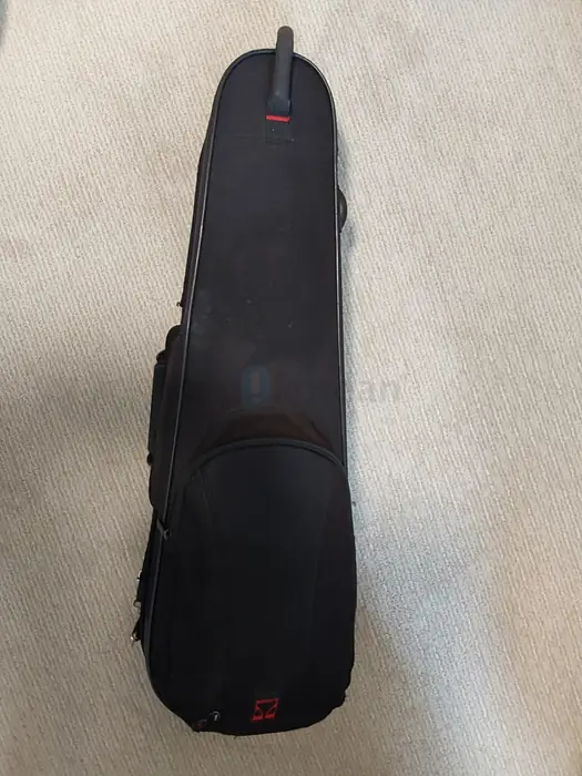 Violin Case