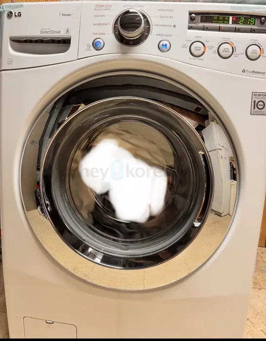 LG Washer & 드라이어