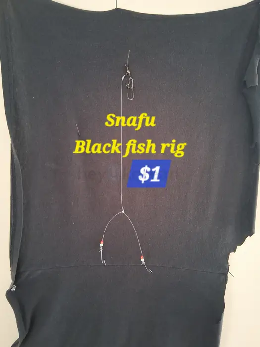 Blackfish snafu rig++++ in Queens, NY