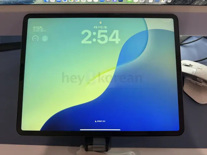 Apple iPad Pro 12.9인치 4세대 (2020) / 256GB / Space Gray 판매합니다. in Bergen County, NJ