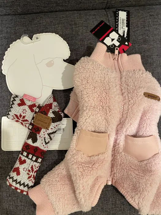 미니 강아지 Clothing (여) in Bergen County, NJ