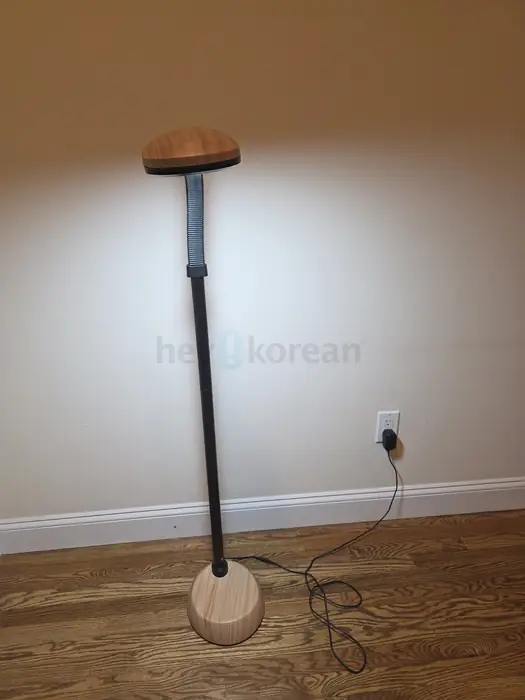 LED Floor Reading Lamp in Bergen County, NJ