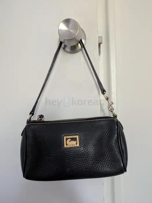 두니 손Bag in Bergen County, NJ