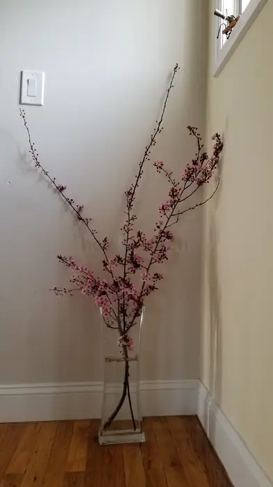 꽃병 18IN in Queens, NY