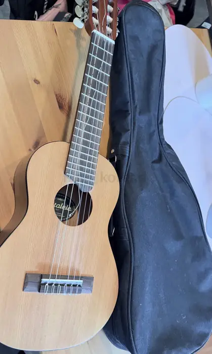 Yamaha Guitalele, Blank Pink Holdie, Maternity Pants Bundle