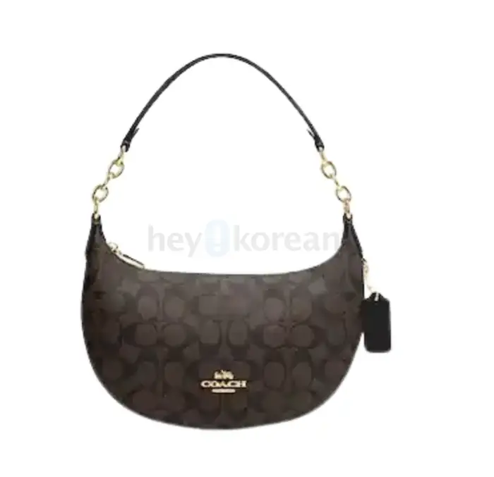 코치 Payton Hobo In Signature Canvas in Bergen County, NJ