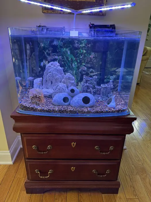 Fish Tank 30Gal. in Bergen County, NJ