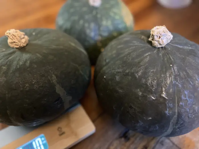 유기농 호박 3개 $10 in Bergen County, NJ