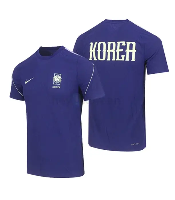 26/27 NIKE 대한민국 축구 국가대표 트레이닝 반팔 SIZE LARGE in Bergen County, NJ