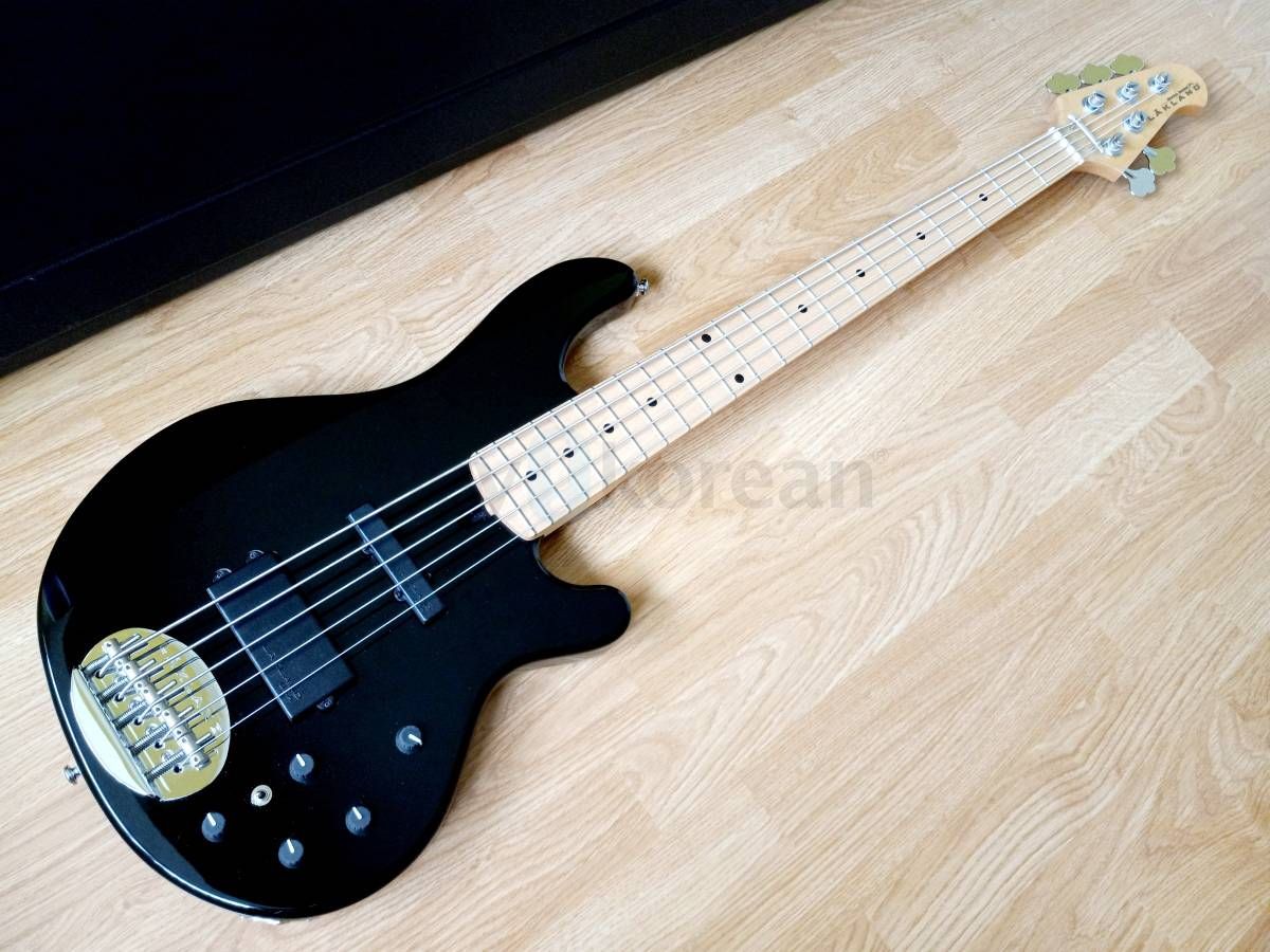 미친 가격 _ 5현 베이스 기타 + 케이스 + 스트링 2 세트