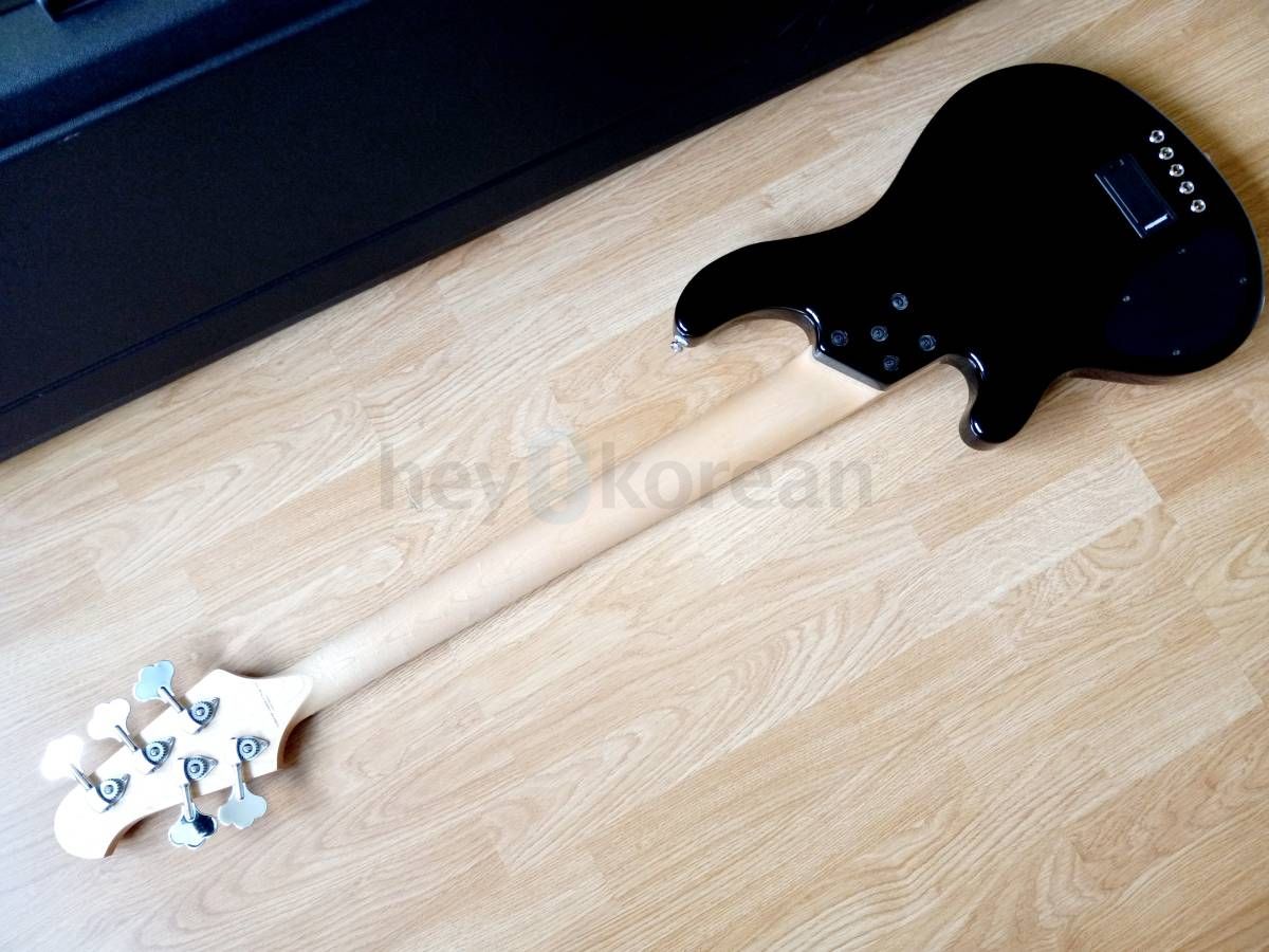 미친 가격 _ 5현 베이스 기타 + 케이스 + 스트링 2 세트