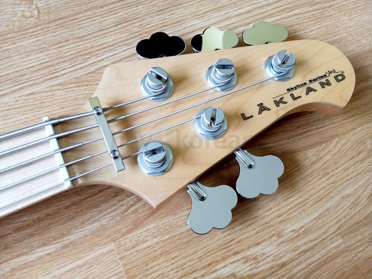 미친 가격 _ 5현 베이스 기타 + 케이스 + 스트링 2 세트