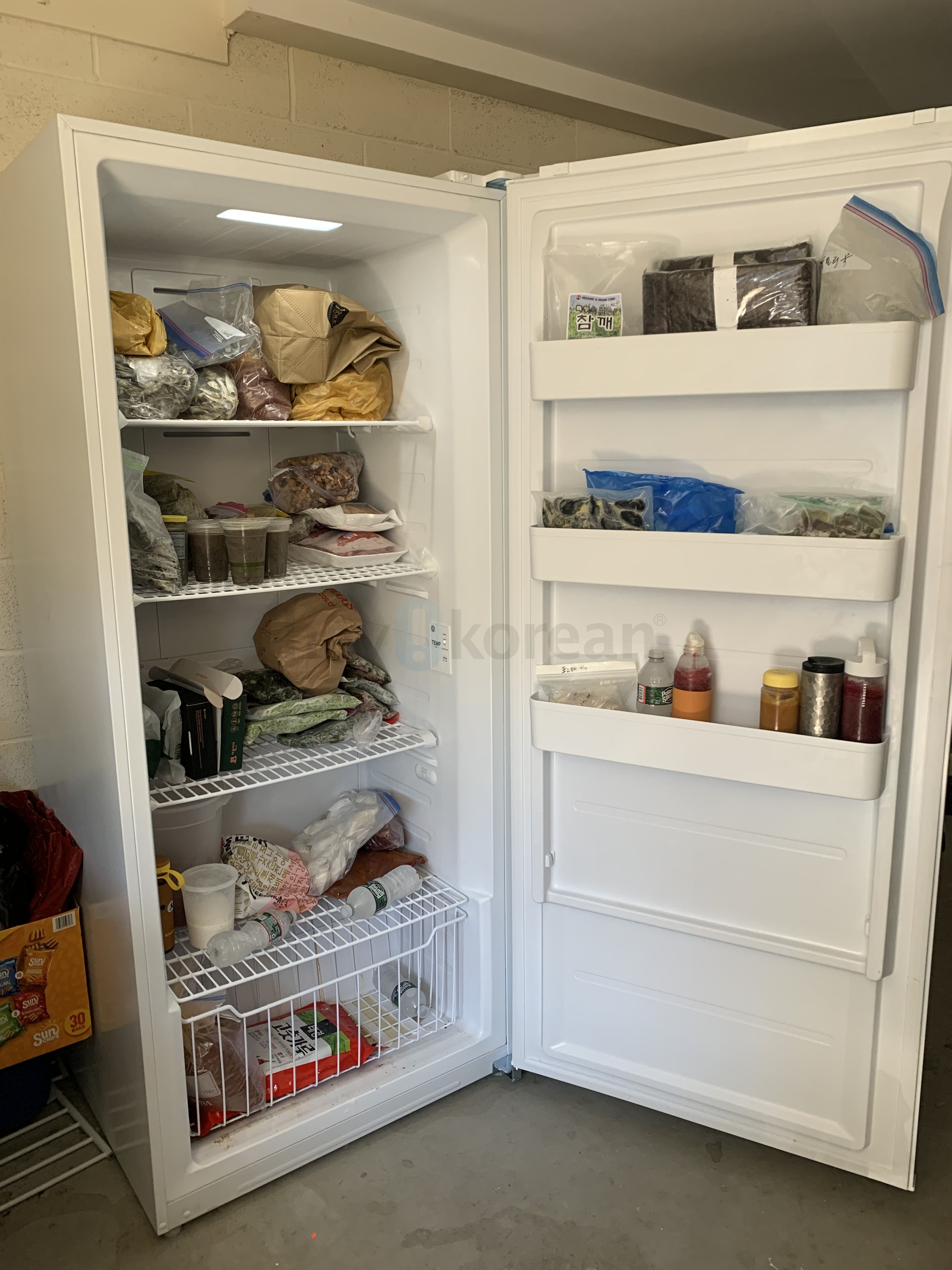 냉동고 GE Garage Ready Freezer