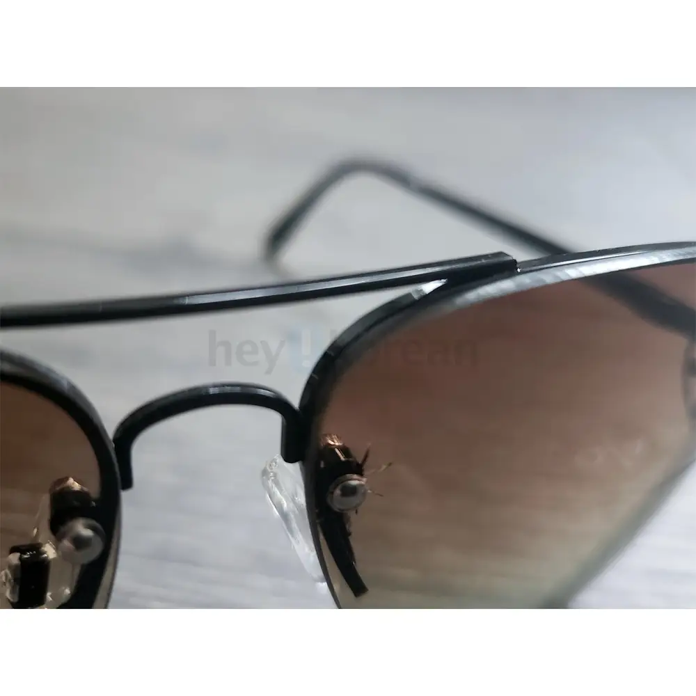 NEW Quay Australia Muse Fade 블랙 브라운 선글라스