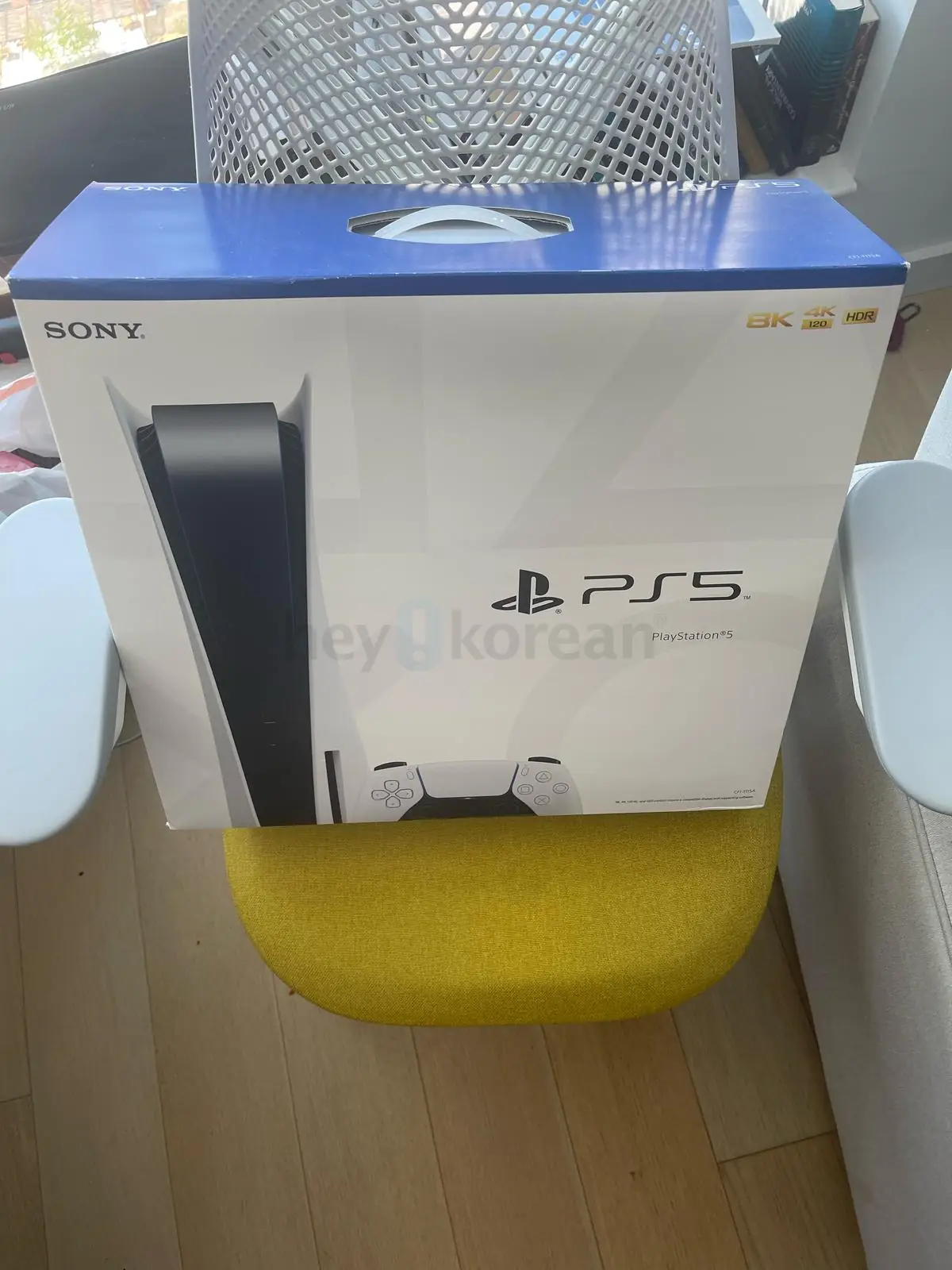PS5 Console Disc