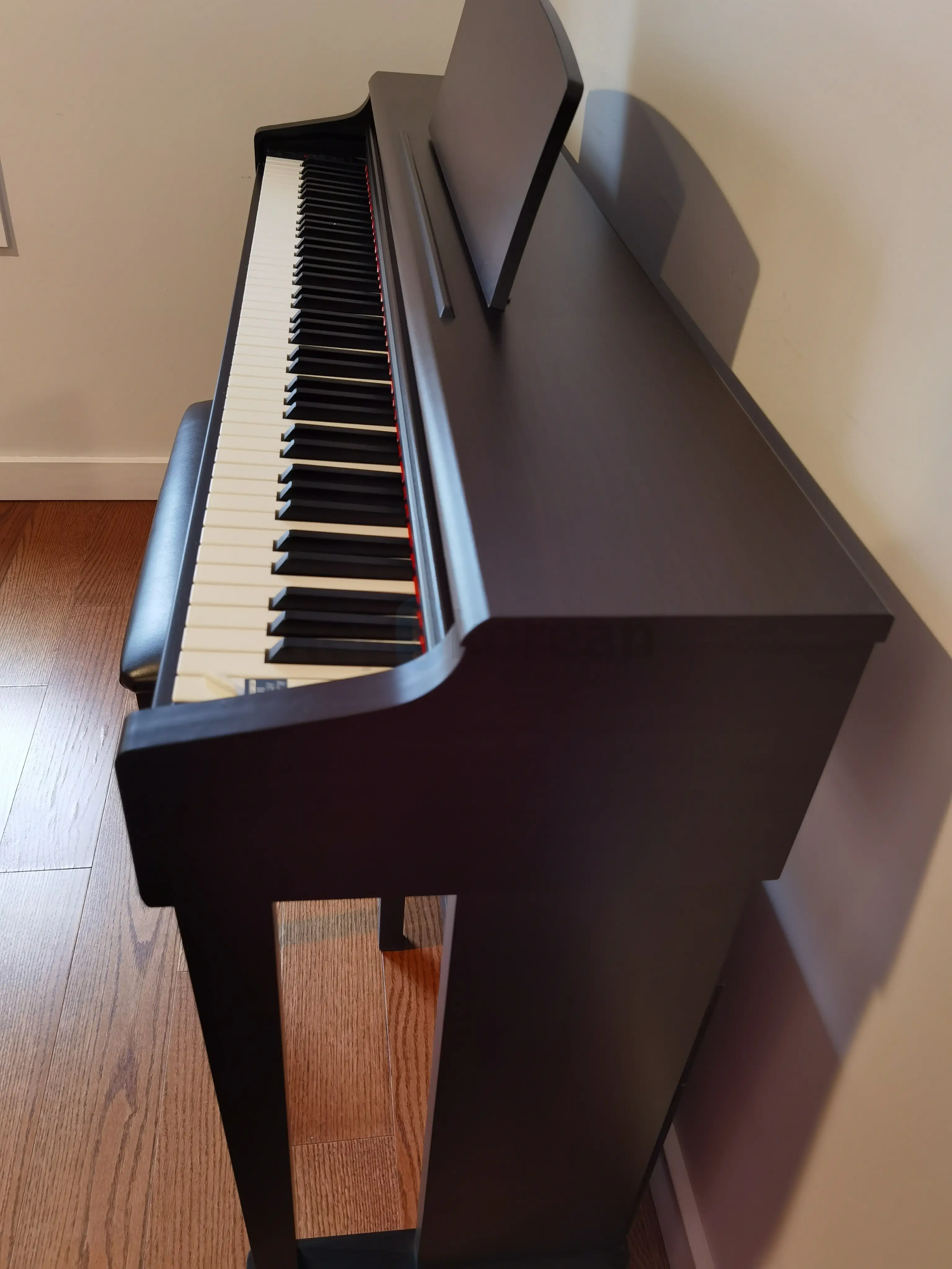 Kawai CN24 Digital Piano