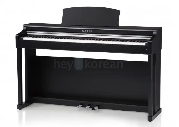 Kawai CN24 Digital Piano