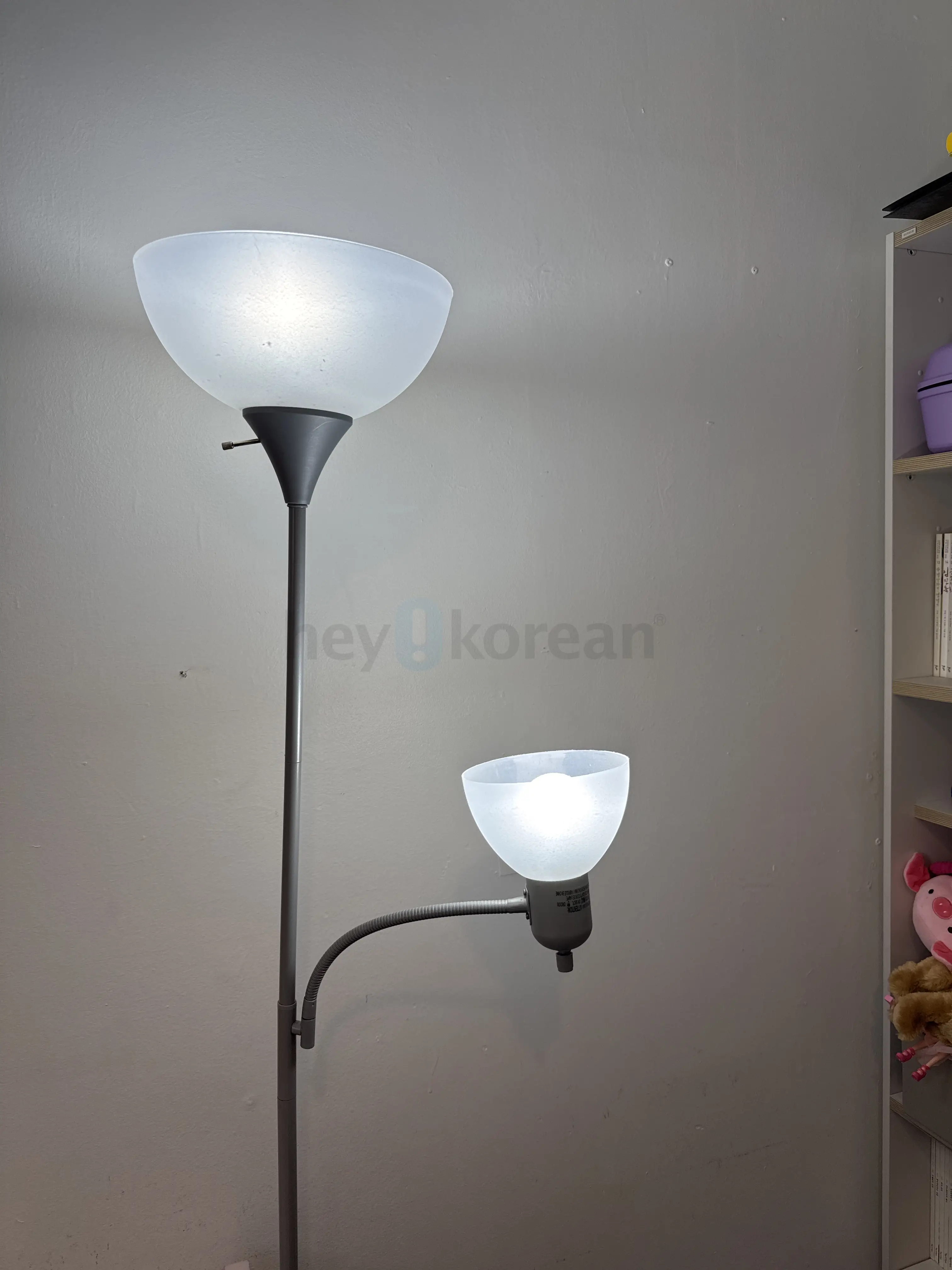 전등