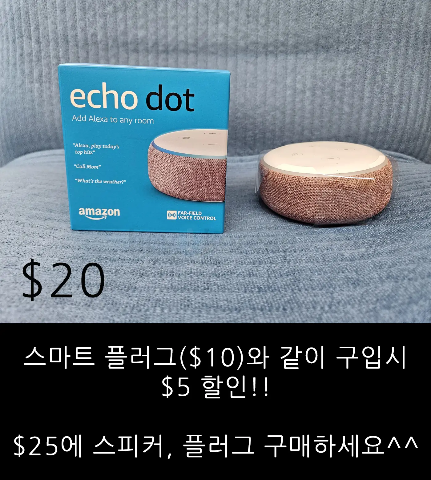아마존 에코 닷 스피커 (새 것) + 스마트 플러그 in Bergen County, NJ
