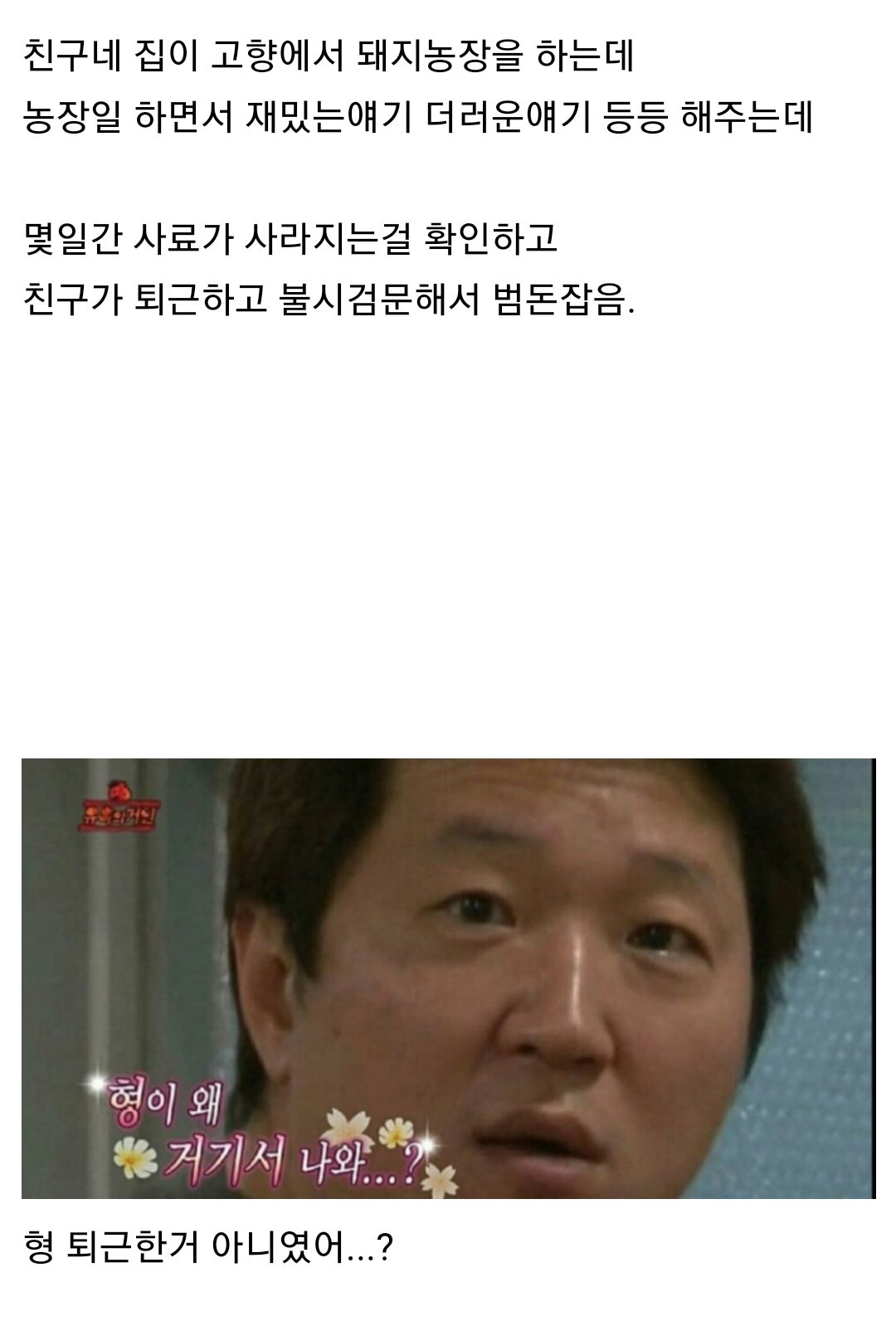 몰래 사료 먹다 걸린 돼지